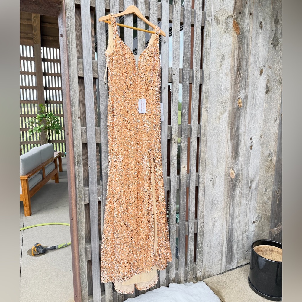 Sheath Trumpet/Mermaid V Neck Sleeveless Velvet Sequins Train Evening Gown